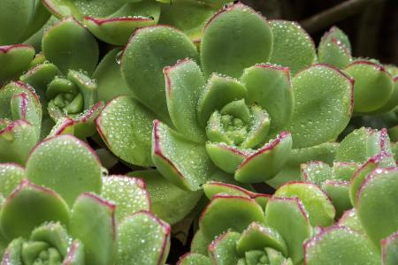 ɽһС5δůνģ31չů